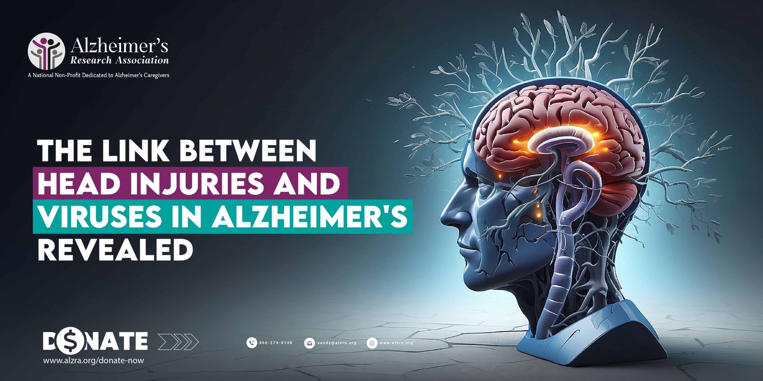 Head Injuries and Viruses in Alzheimer's